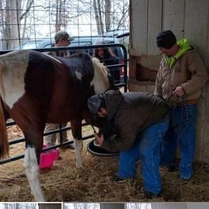 Meet your Posher, Kenneth